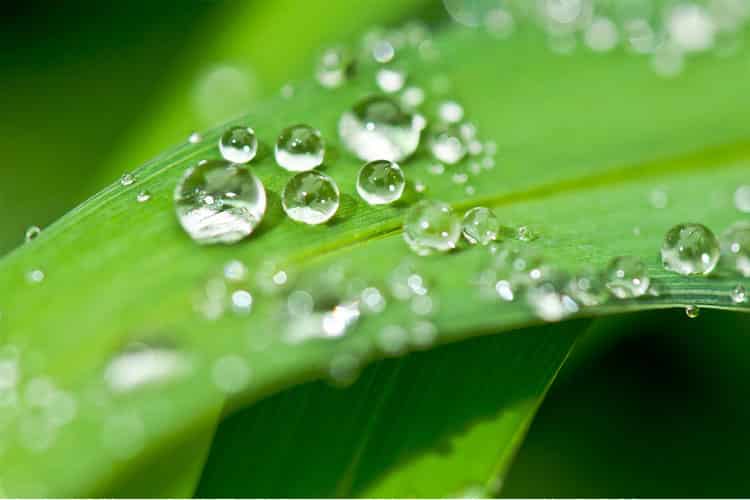 récupérateur eau pluie coût amortissement cuve