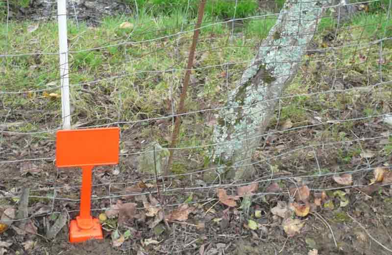 Prix d'un bornage de terrain