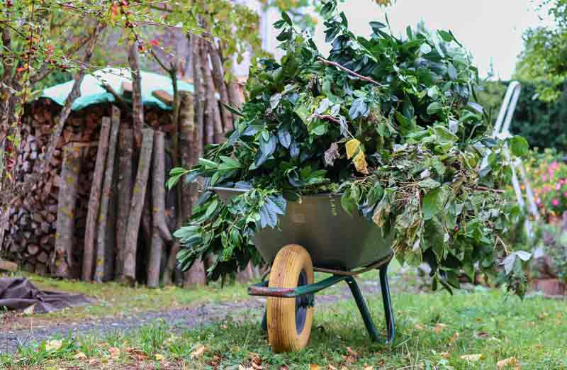 Prix d'entretien d'un jardin