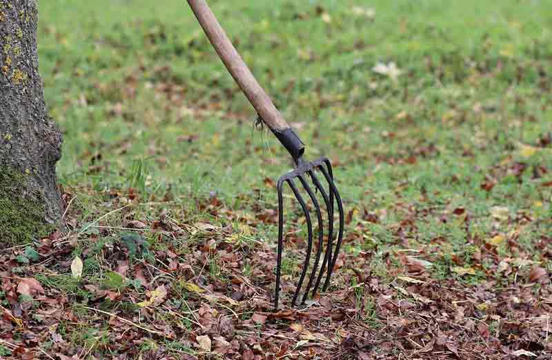 Prix d'un nettoyage de jardin