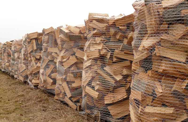 Le bois : une solution climatique et financière