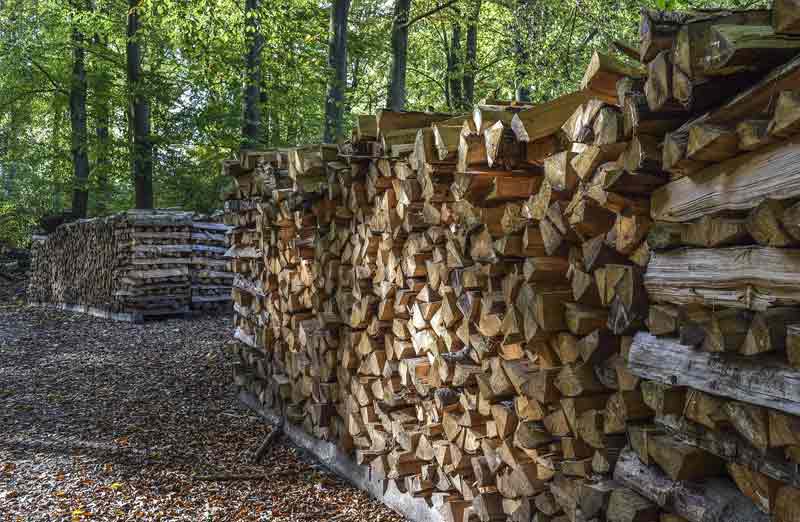 Le bois : une source d'énergie renouvelable
