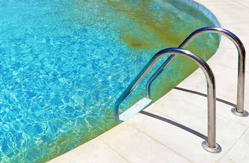 Éviter l’apparition d'algues dans une piscine | Conseils & avis