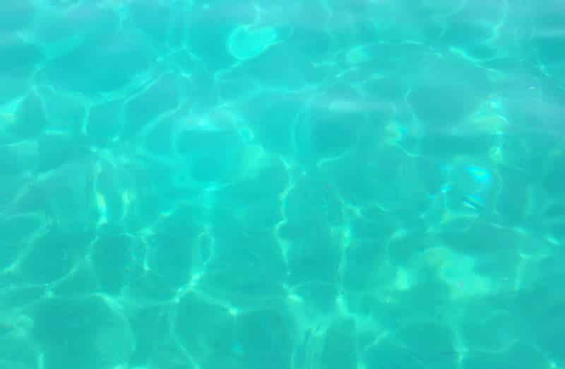 Solutions pour éviter l’apparition d'algues dans une piscine