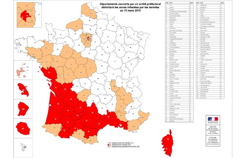 Diagnostic termites : obligatoire dans certaines régions