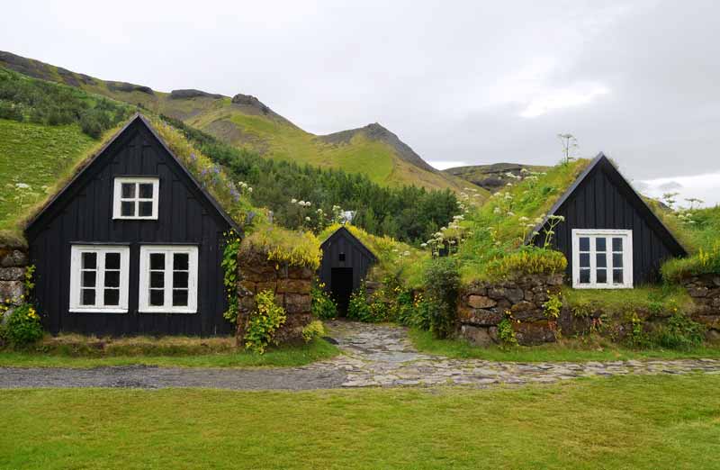 Les principaux avantages de la toiture végétalisée