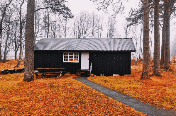 maison container dans une forêt