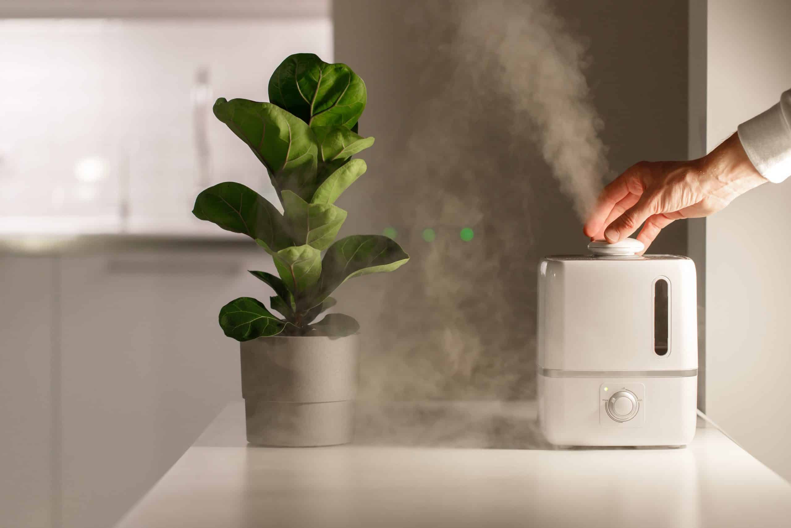 4 meilleurs humidificateurs d'air pour chambre