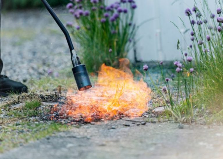 Désherbage thermique estce efficace ? Notre avis — free download