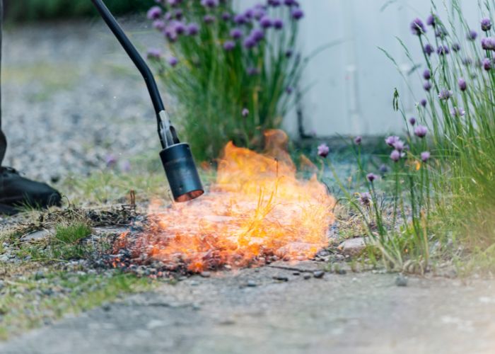 desherbeur thermique au gaz