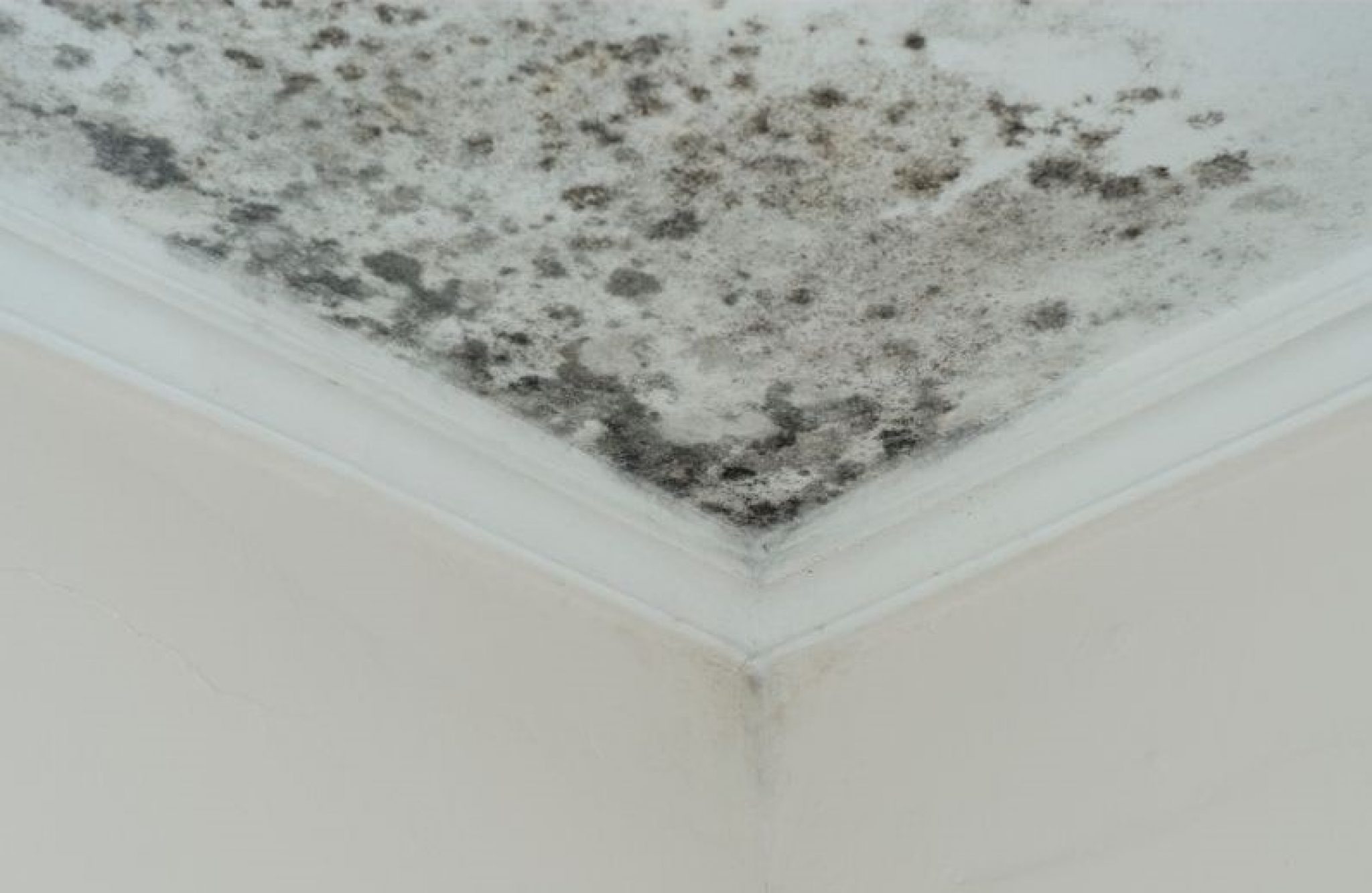 comment déshumidifier une pièce de votre maison?