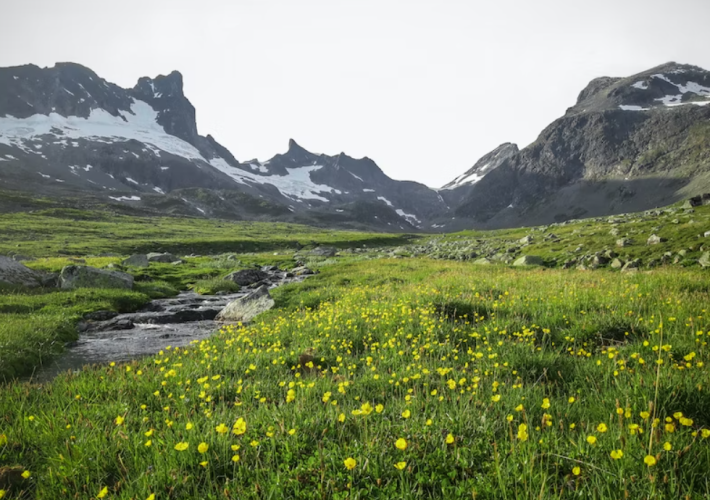 terrain non constructible dans la nature