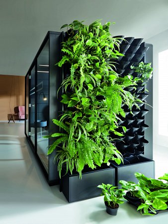 mur vegetal