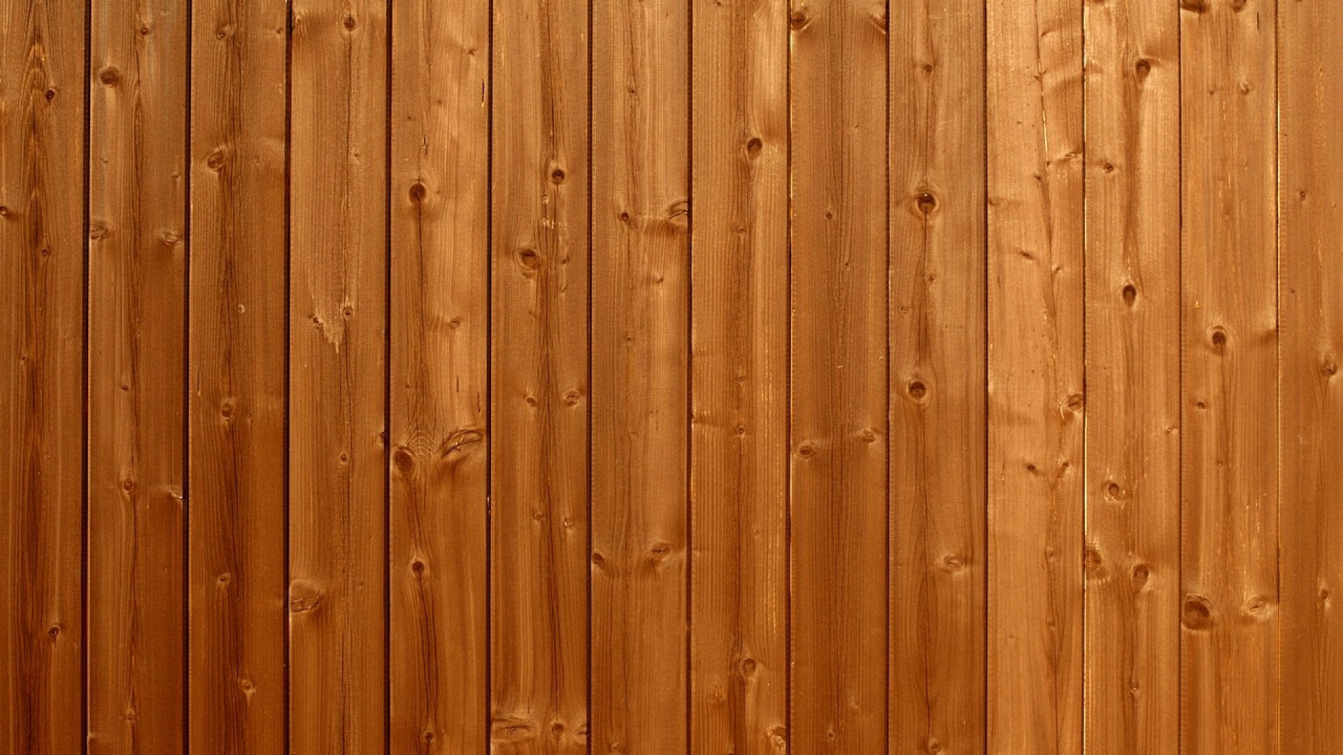 La terrasse en bois, l’astuce gagnante pour sublimer votre extérieur ?