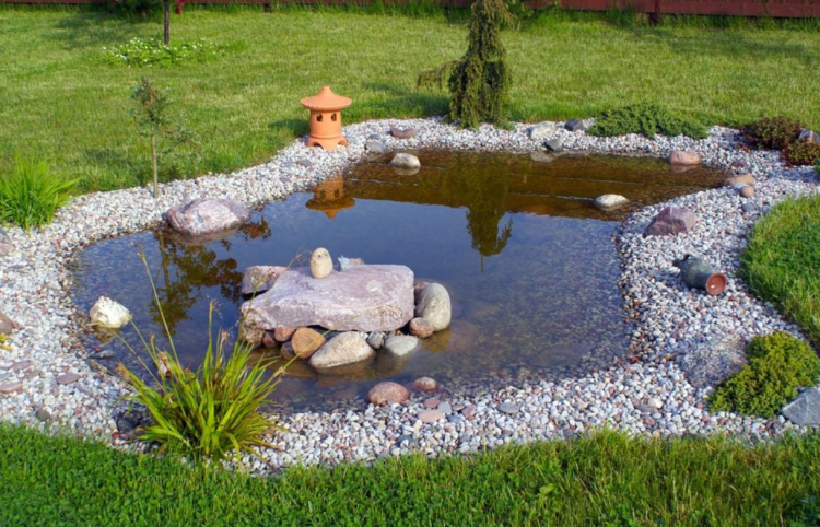 petit bassin de jardin