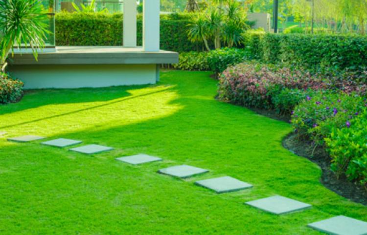 petite allée de jardin