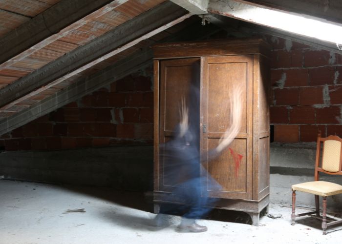 combles perdus avec armoire