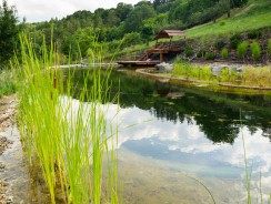 Construction de piscine : optez pour une construction écologique !