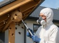 Nid de bourdon sous toiture : solutions efficaces pour s’en débarrasser en 2025