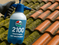 Dalep 2100 : une exploration claire des avantages à découvrir d’ici 2025