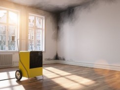 Comment choisir son déshumidificateur professionnel ?