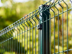 Grillage Rigide 2m50 : Le choix idéal pour une clôture robuste et esthétique