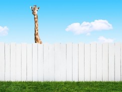 Quelle hauteur de clôture entre voisins ?