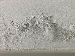 Humidité maison : que faire ?