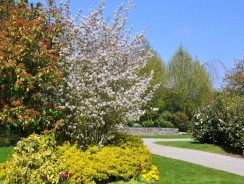 Comment déterminer l’aménagement de son jardin ?