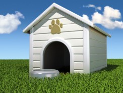 Niches d’intérieur pour chien – Confort et design