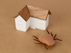 Comment protéger sa maison en bois contre les nuisibles ?