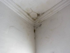 Comment lutter efficacement contre les problèmes d’humidité dans votre habitation ?