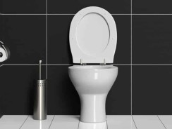 Toilette bouchée : les causes et les solutions