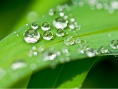 Récupérateur d’eau de pluie : coût et amortissement d’une cuve