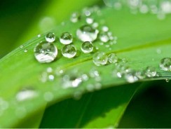 Récupérateur d’eau de pluie : coût et amortissement d’une cuve