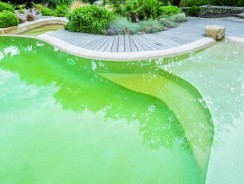 Comment remédier à un problème d’eau verte dans une piscine  ?