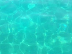 Solutions pour éviter l’apparition d’algues dans une piscine