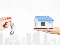 Utiliser un moteur de recherche d’annonce pour acheter ou vendre un bien immobilier